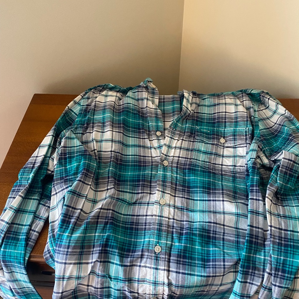 American Eagle Outfitters Blue and Green Plaid Shirt